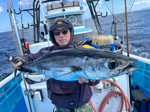 ビンチョウマグロの釣果