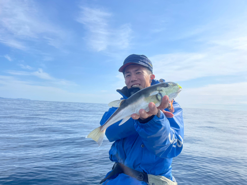 シロサバフグの釣果