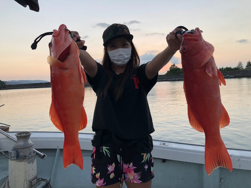 スジアラの釣果