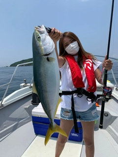 ハマチの釣果