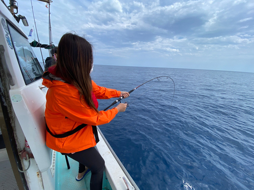 スジアラの釣果