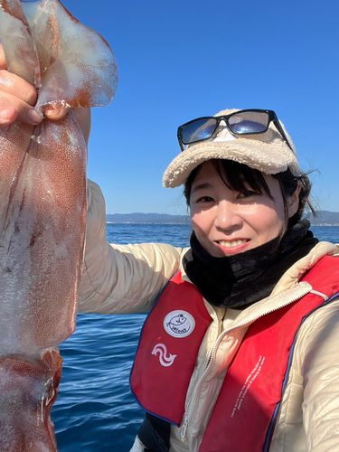 ソデイカの釣果