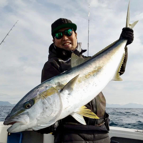 ヒラマサの釣果