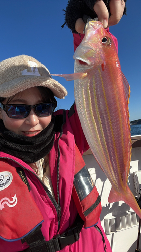 イトヨリダイの釣果