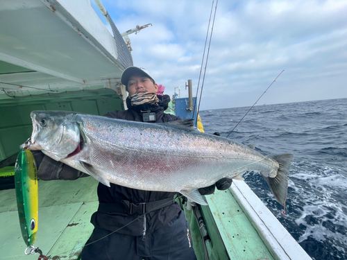 サクラマスの釣果