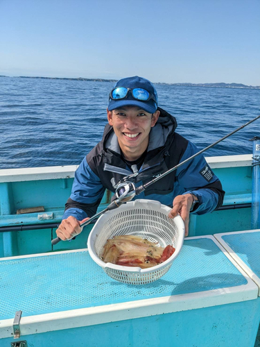 マルイカの釣果