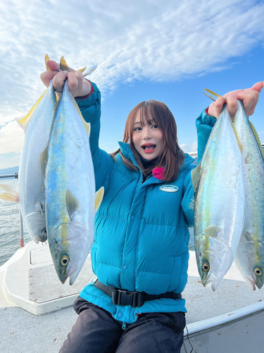 ハマチの釣果