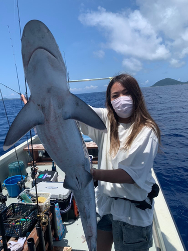 サメの釣果