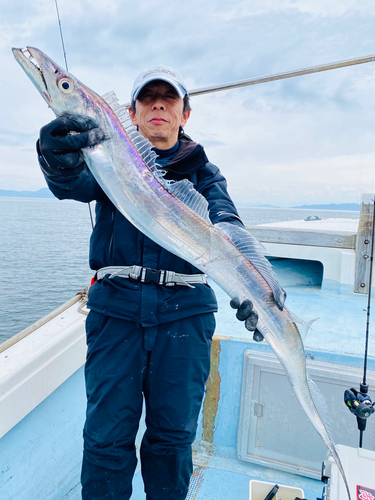 タチウオの釣果