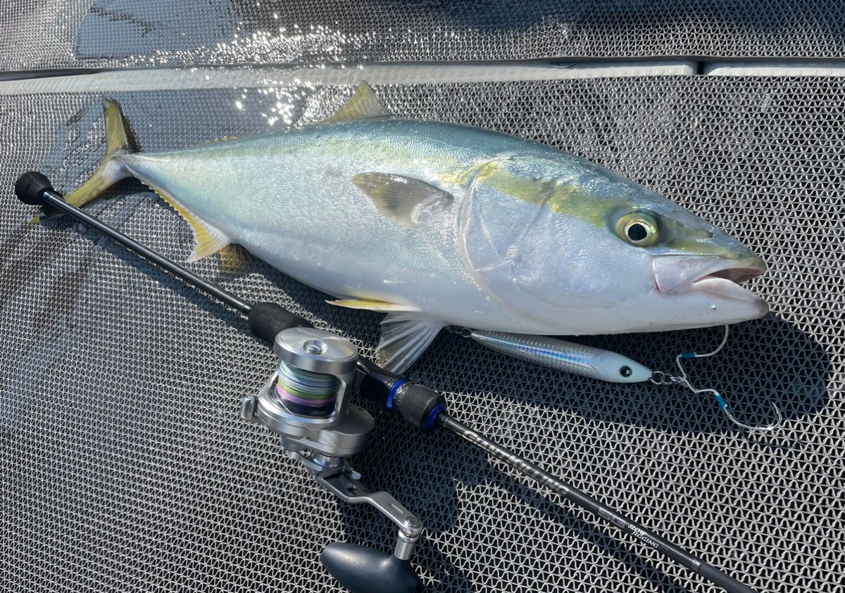 カワテツさんの釣果 2枚目の画像