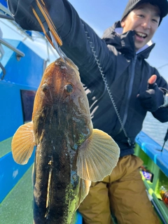 マゴチの釣果