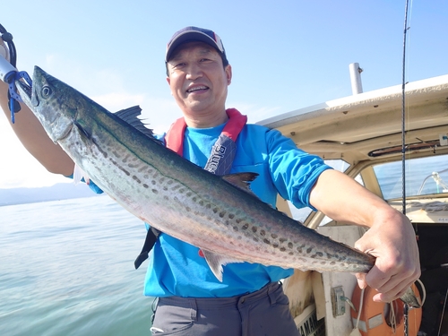 サワラの釣果