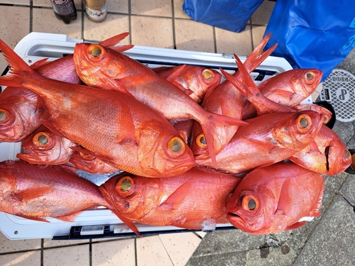 キンメダイの釣果