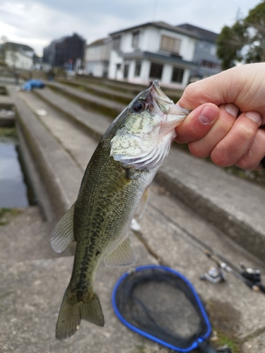 釣果