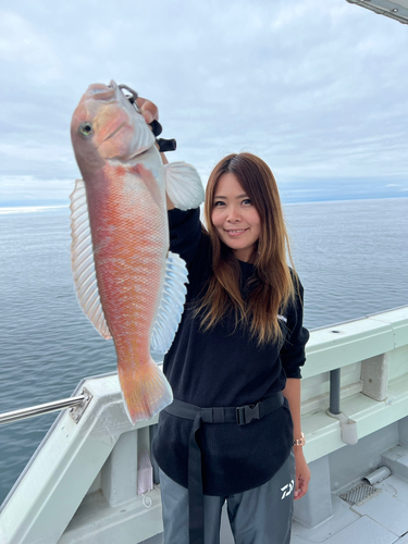 シロアマダイの釣果