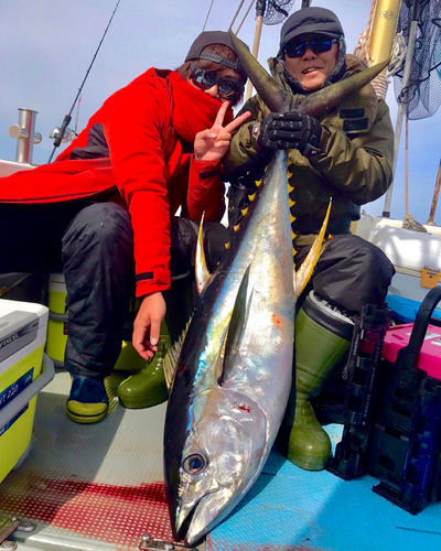 キハダマグロの釣果