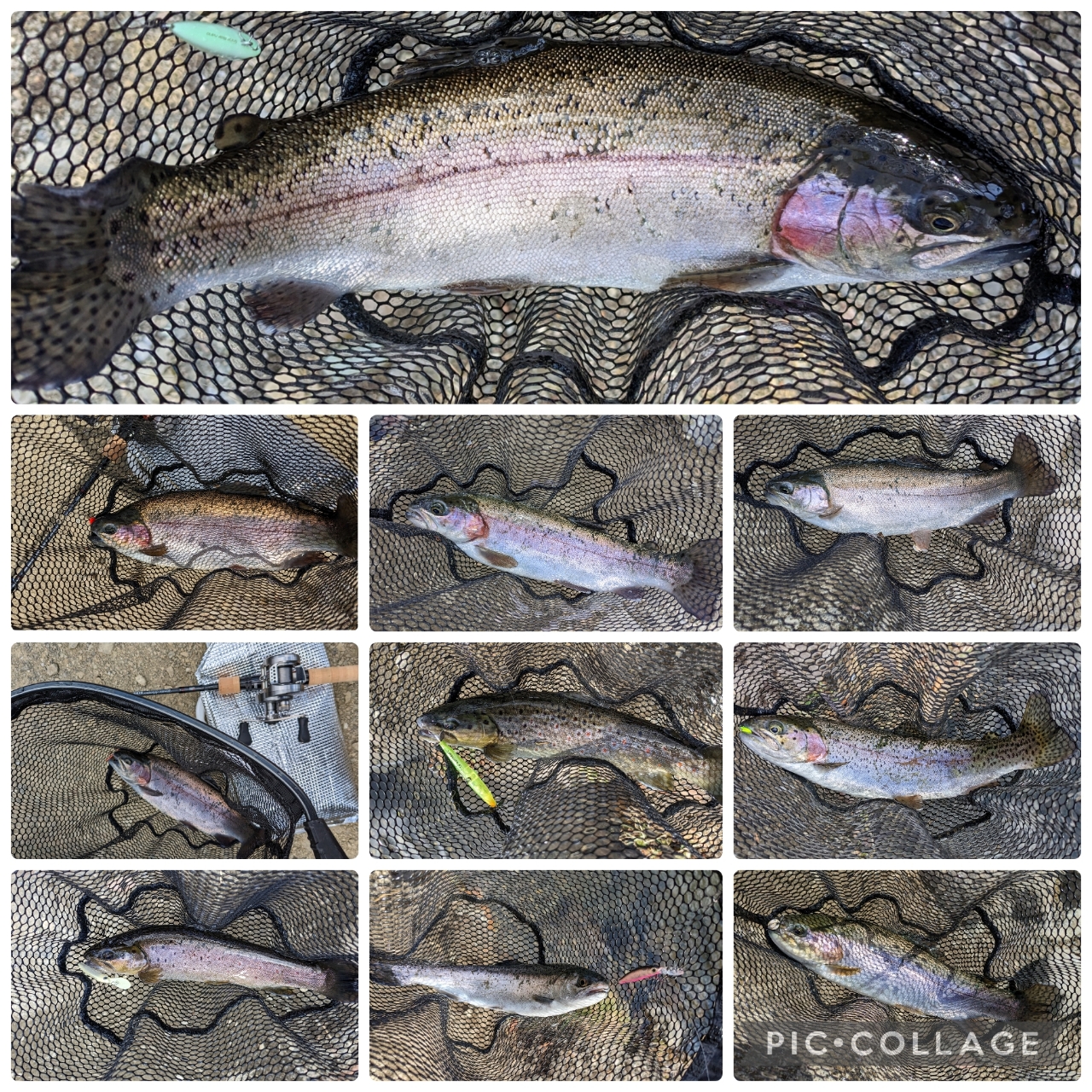 DAIWA モバイルパック 2本目購入。 | 横浜 小物五目釣り