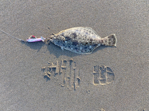 ソゲの釣果