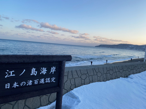 アメマスの釣果