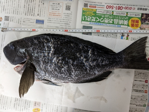 釣果