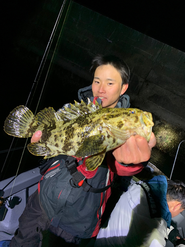 タケノコメバルの釣果