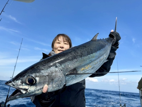 ビンチョウマグロの釣果