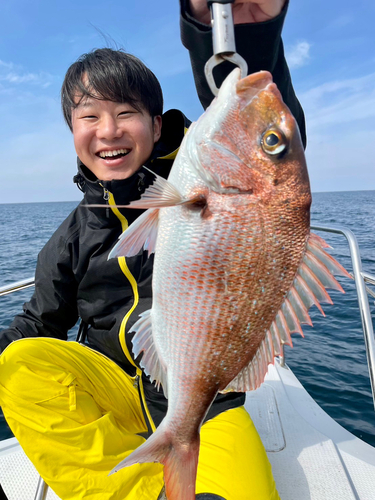 マダイの釣果