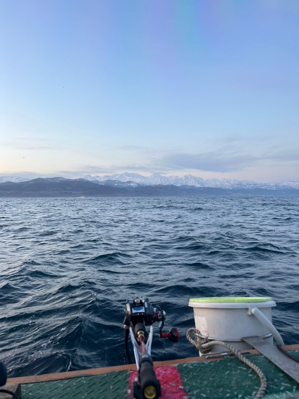 鯛バカさんの釣果 2枚目の画像