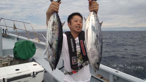 カツオの釣果