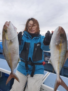 カンパチの釣果