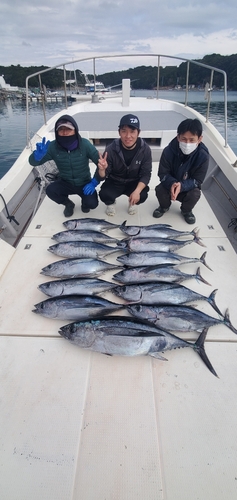 ビンチョウマグロの釣果