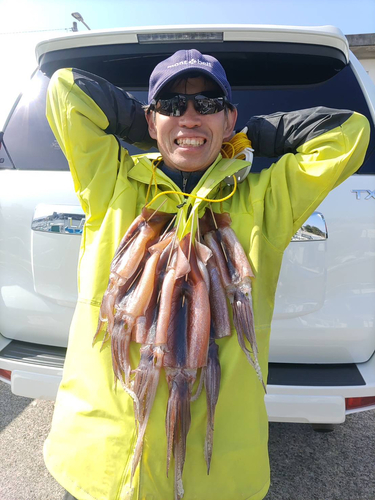 スルメイカの釣果