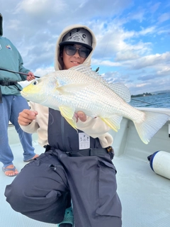 ホシミゾイサキの釣果