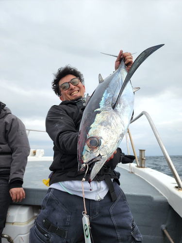 ビンチョウマグロの釣果