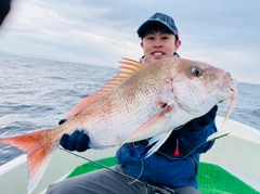 マダイの釣果