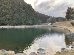 イワナの釣果