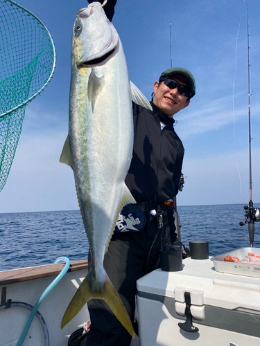 ブリの釣果