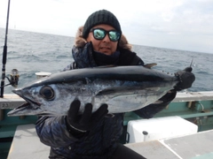 ビンチョウマグロの釣果