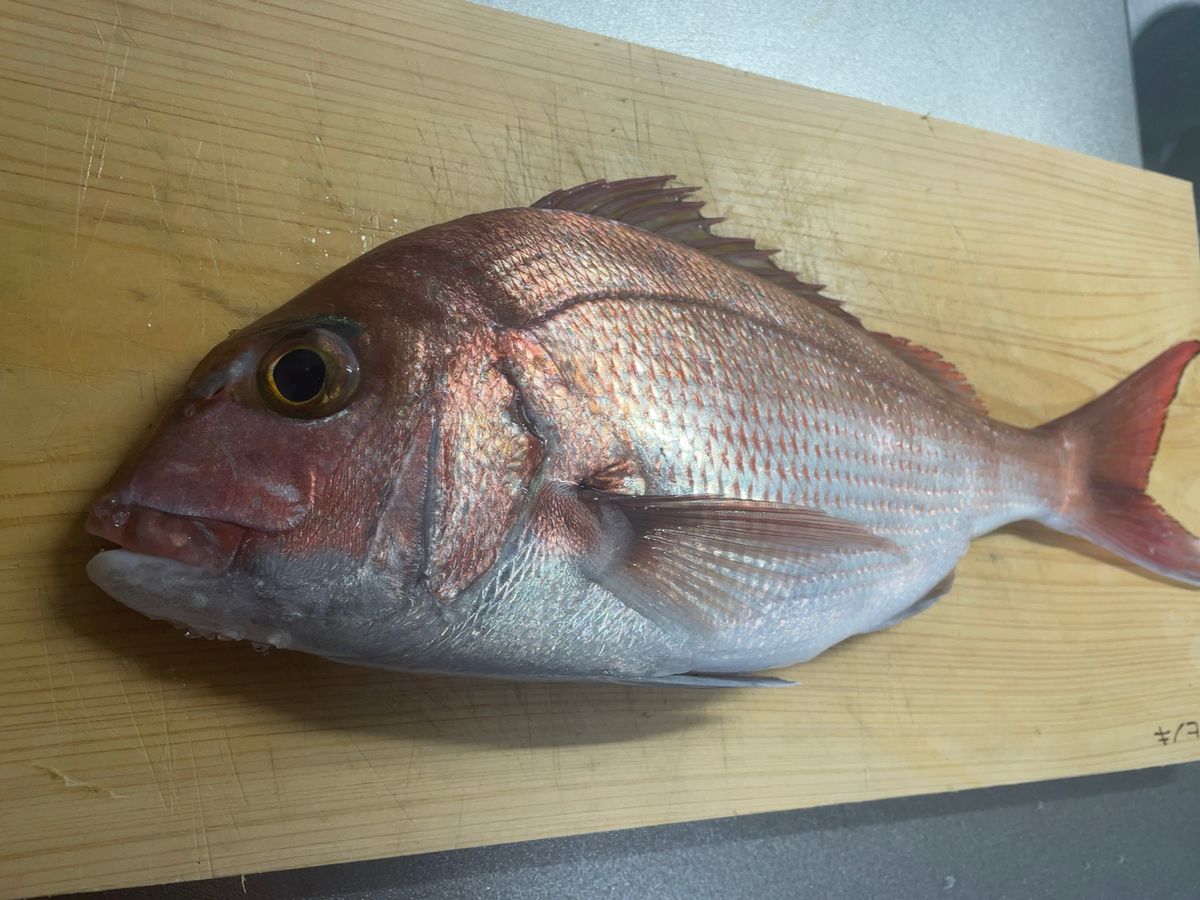 Flying Eagleさんの釣果 3枚目の画像