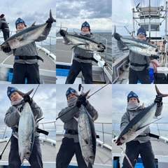 ビンチョウマグロの釣果