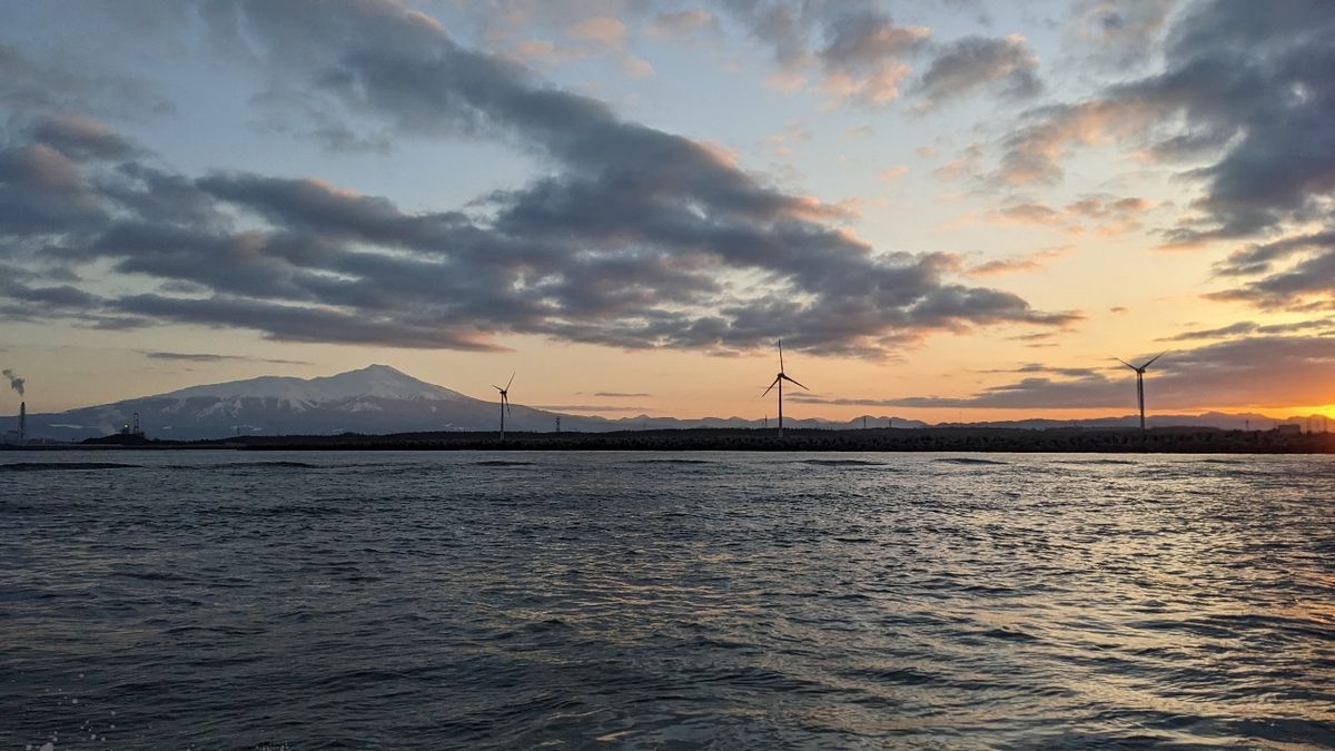青大福さんの釣果 2枚目の画像