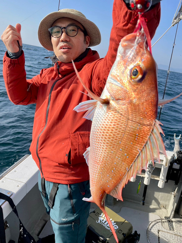 マダイの釣果