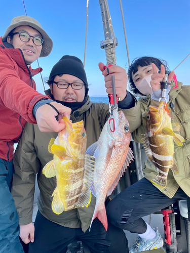 アオハタの釣果