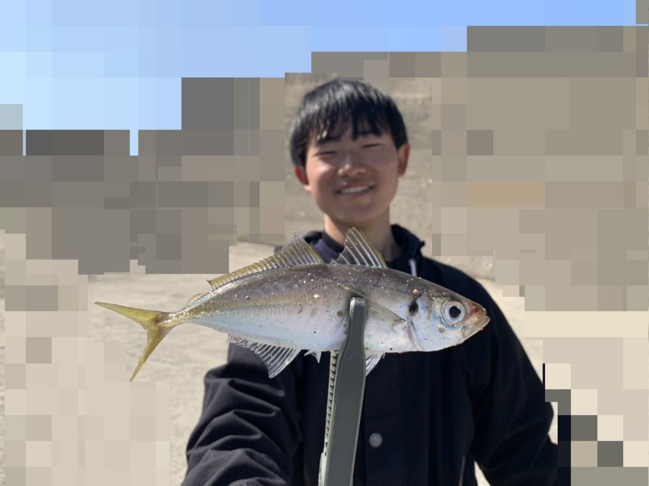 アジ