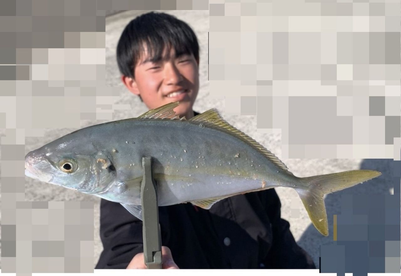 シマアジ