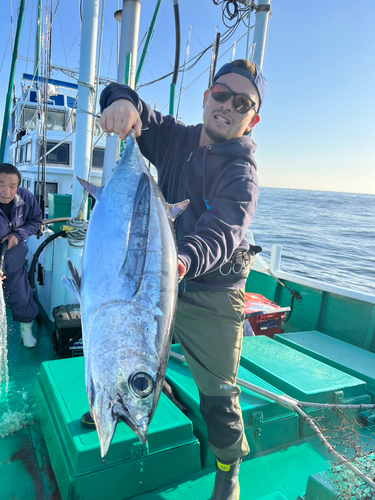 ビンチョウマグロの釣果