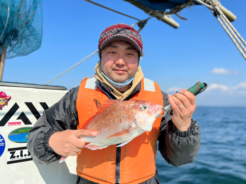 マダイの釣果