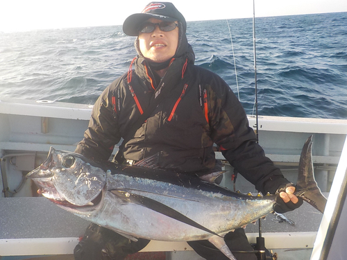 ビンチョウマグロの釣果