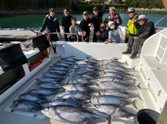 ビンチョウマグロの釣果