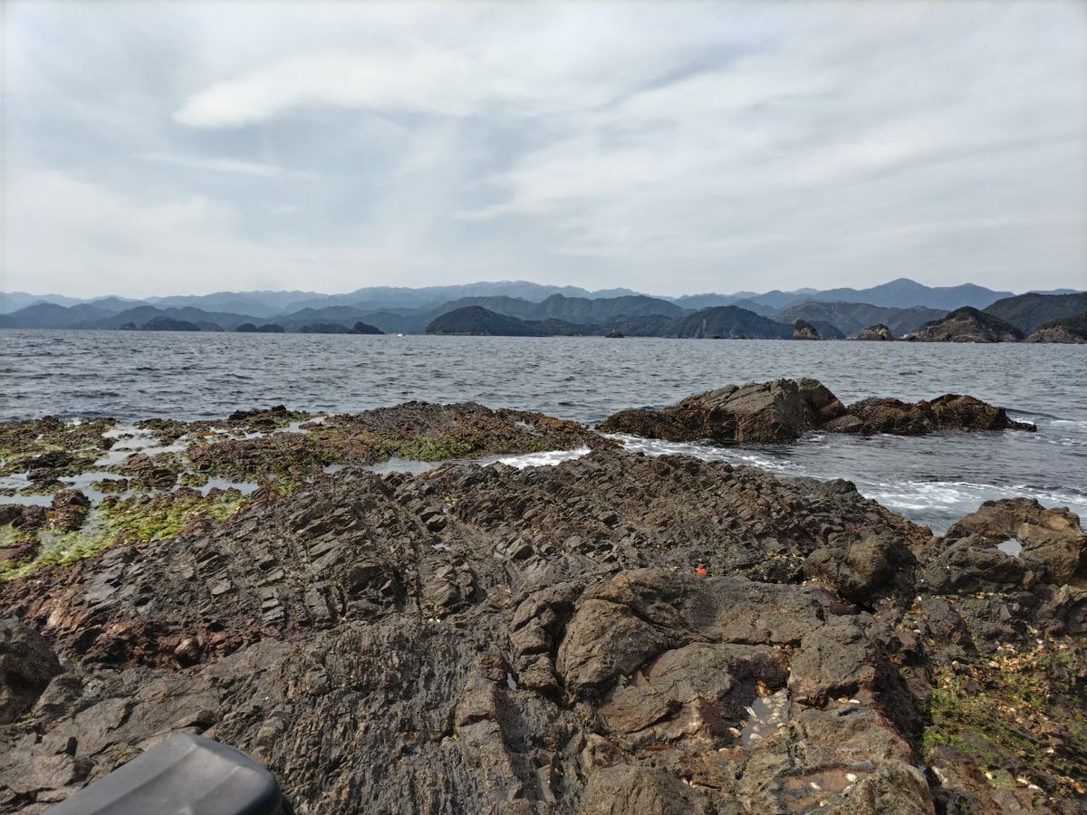 シニアアングラーTENさんの釣果 3枚目の画像